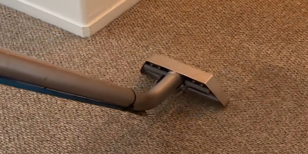 carpet cleaning