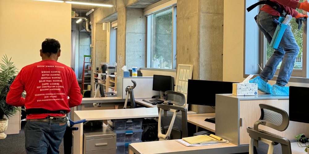 cleaning company in berkeley (2)