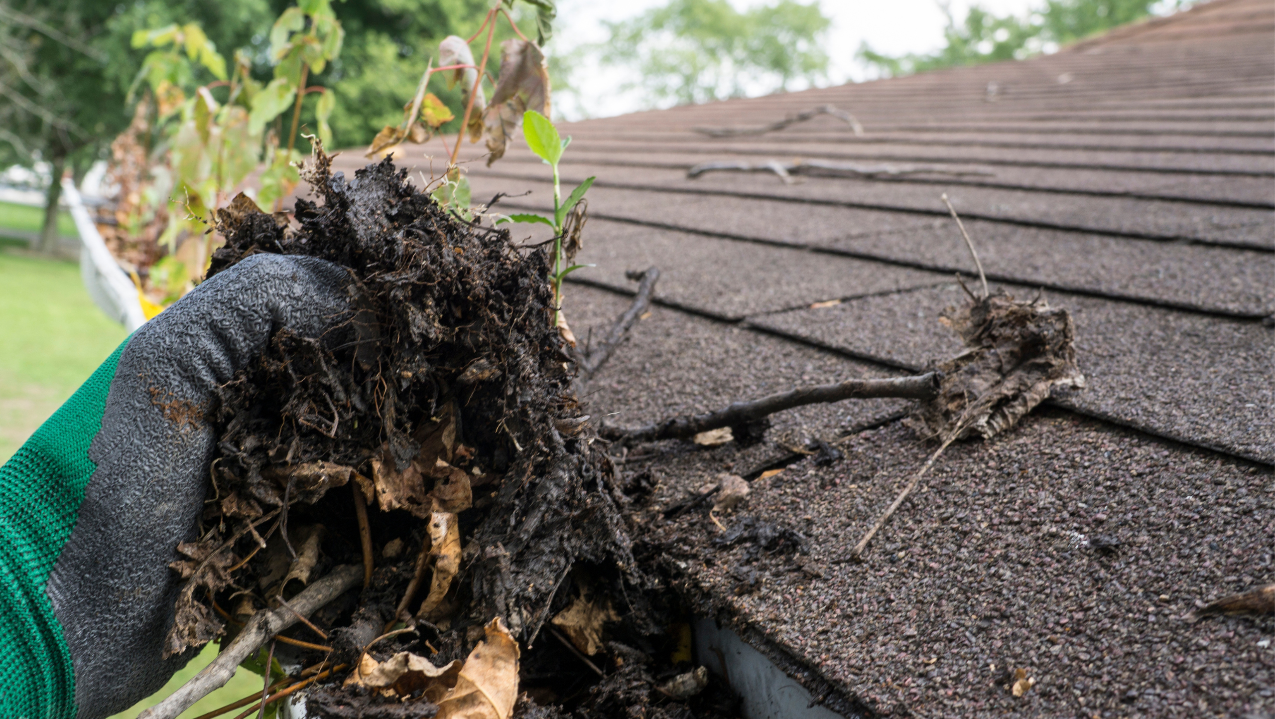 1 gutter cleaning
